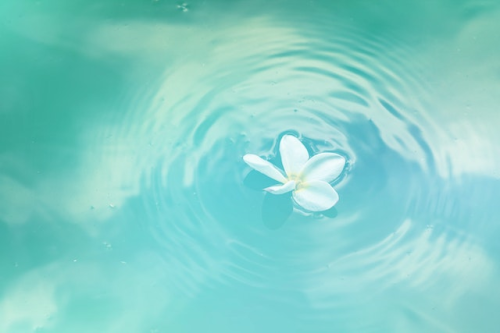 _1670347722.image.png