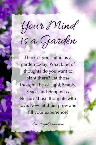 _1670481688.Garden.jpg