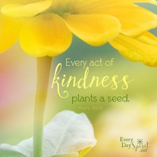_1670482055.Seed.jpg