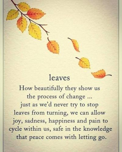 _1670482306.Leaves.jpg
