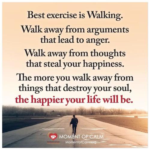 _1670482494.Walking.jpg