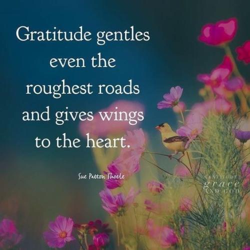 _1670482655.Gratitude.jpg
