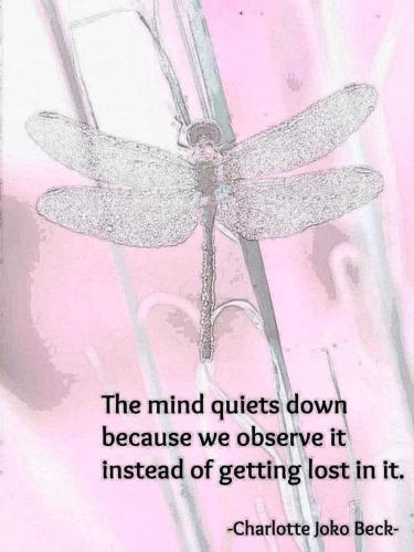 _1670492183.Mind-quiets-down.jpg