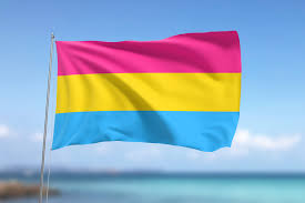 _1670531585.Pansexual Flag.png