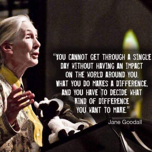 _1670544614.Make-a-difference.jpg