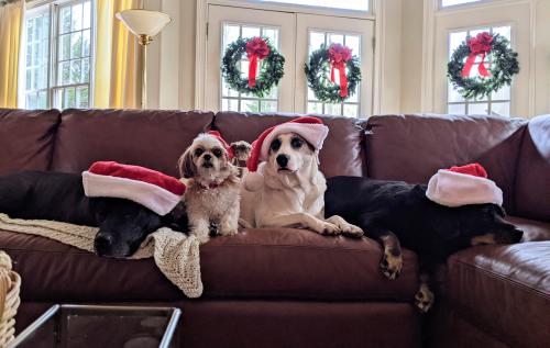 _1670905804.Santas.jpg