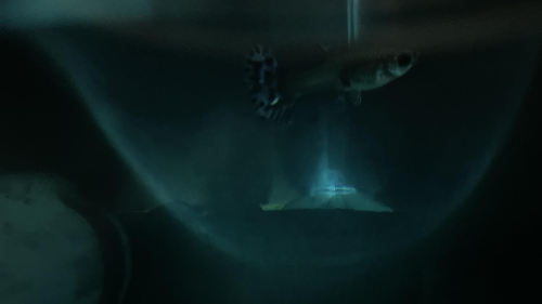 _1670945406.image.png