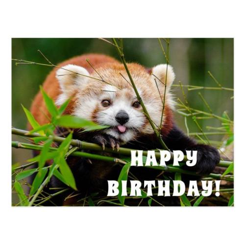 _1671199921.Happy Birthday Postcard.jpeg