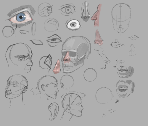 _1671596529.drawing238a.png