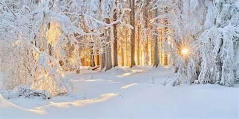 _1671810660.winter2.jpg