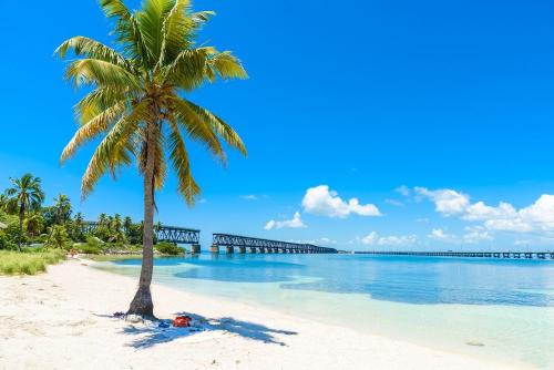 _1672503146.shutterstock_740407951.jpg