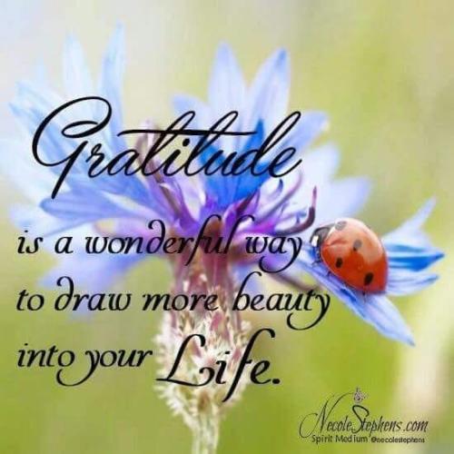 _1674777170.gratitude.jpg