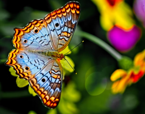 _1675208171.image.png