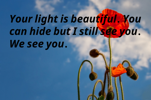 beautiful-flowers-641423-1920_1683509419.png