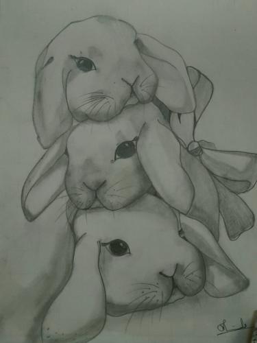 bunny_1746096113.jpg