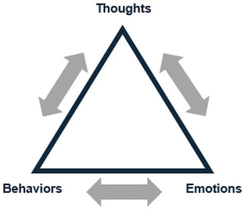 cbt-triangle_1691871309.jpg