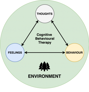 cbt-triangle_1747670294.png
