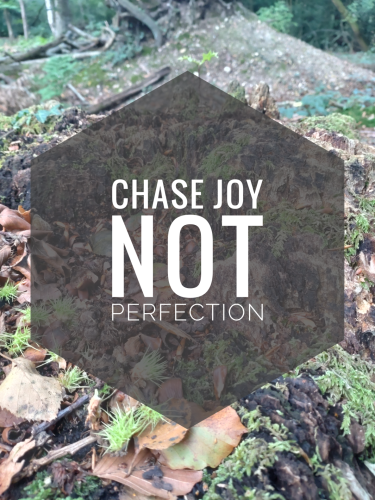 chasejoy_1699737147.png