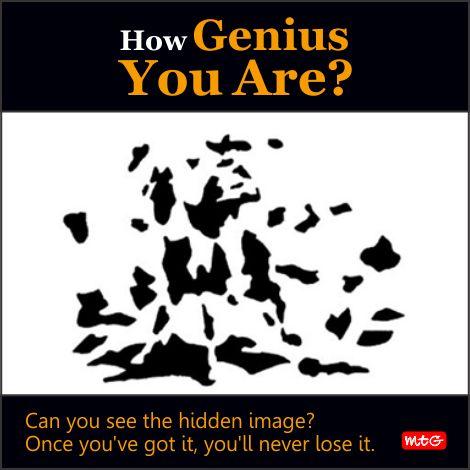 e157de3028d5291d1dbc581bffedff35_1722246272.jpg