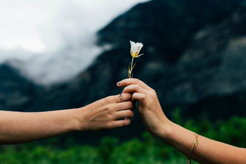 evan-kirby-101570-unsplash_1701387830.jpg