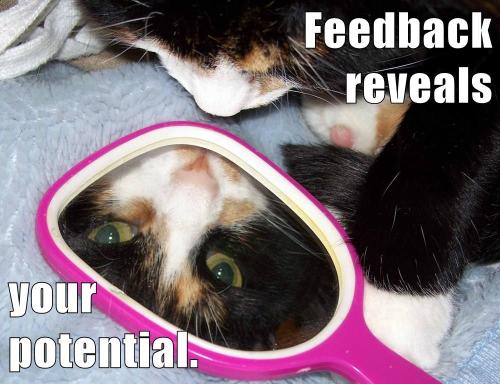 feedback-reveals-your-potential_1678903715.jpeg