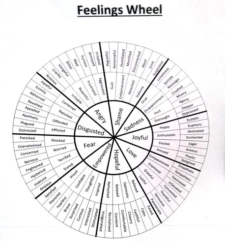 feelingswheel_1736820861.jpg