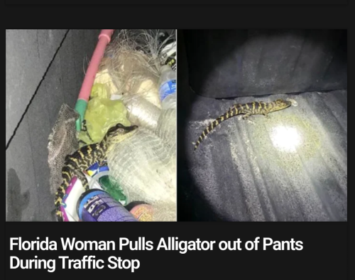 flwoman_1754808152.png