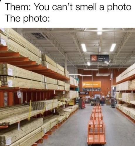 funny-meme-that-reads-them-you-cant-smell-a-photo-the-photo-above-a-photo-of-an-aisle-at-home-depot_1715231581.jpeg