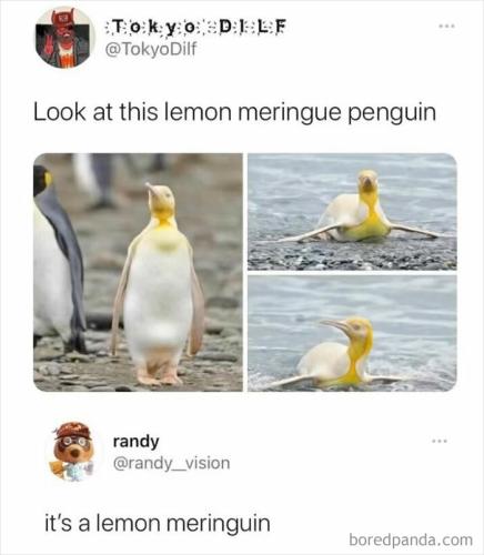 funny-relatable-memes-punsworld13-648c5a37738bd-700_1720377446.jpg