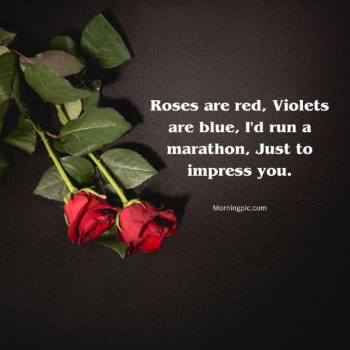 funny-roses-are-red-poems-2-1024x1024_1738645598.jpg
