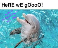 happy-cupsiversary-willow-20240619-094258-0000_1718812217.png