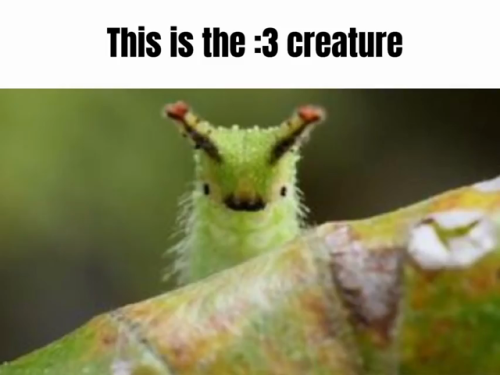 hes-a-creature_1758903565.png