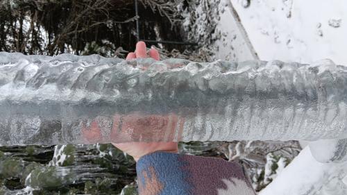 ice-storm-1_1744234423.jpg