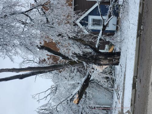 ice-storm-8_1744234524.jpg