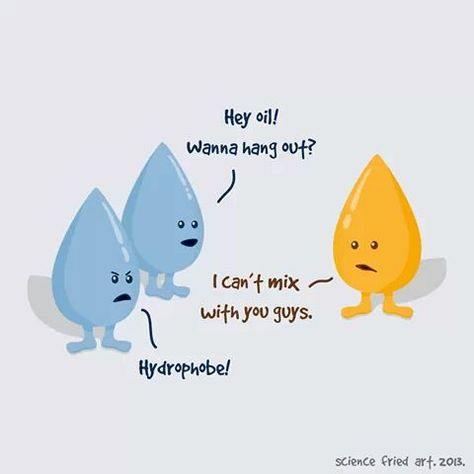 image_1636949804.png