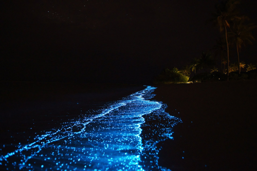 image_1675883517.png