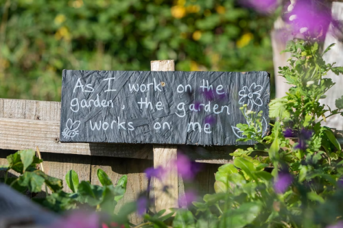 image_1676045957.png
