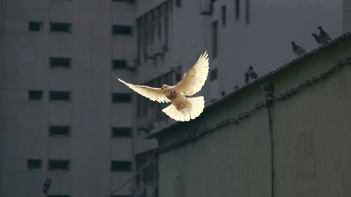 image_1676051878.png