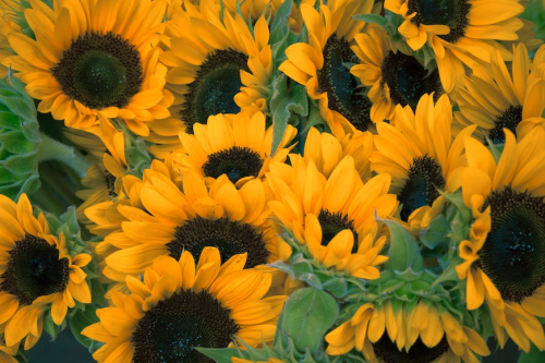 image_1677450933.png