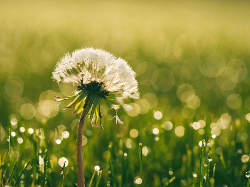 image_1677901640.png