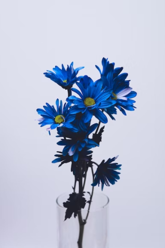 image_1678060749.png