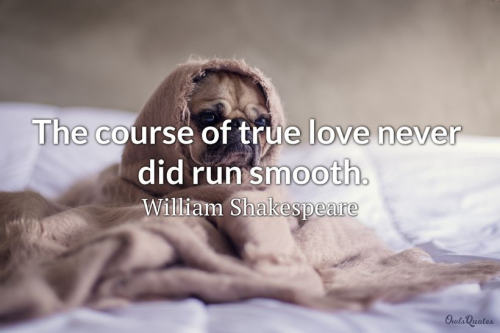 image_1678628657.png