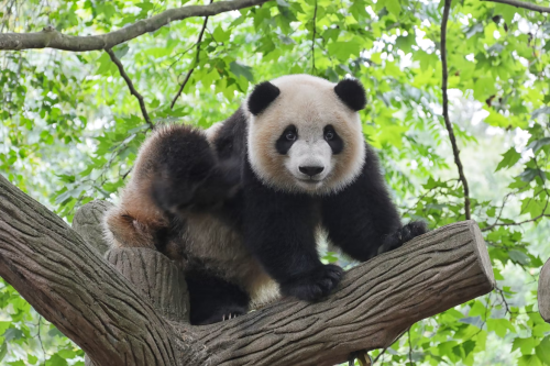 image_1678943942.png