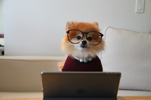 image_1679268734.png