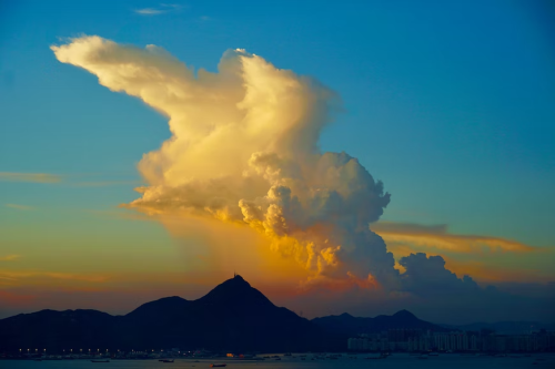 image_1679269940.png