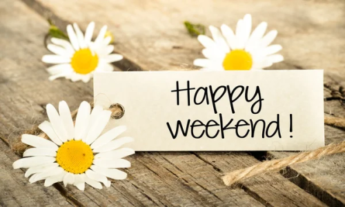 image_1679712513.png