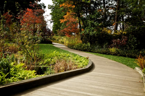 image_1680478195.png