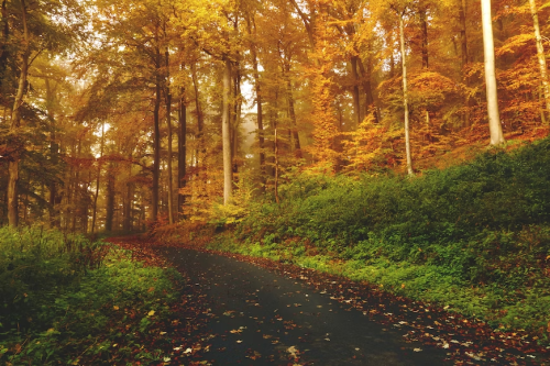 image_1681083875.png