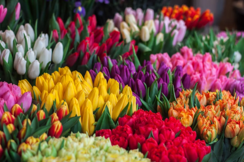 image_1681504352.png