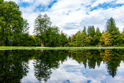 image_1681691352.png